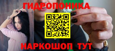 МДПВ Дубна