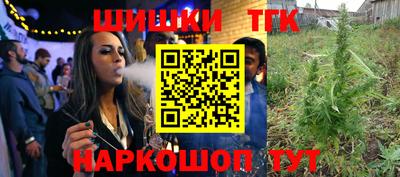 МДПВ Дубна