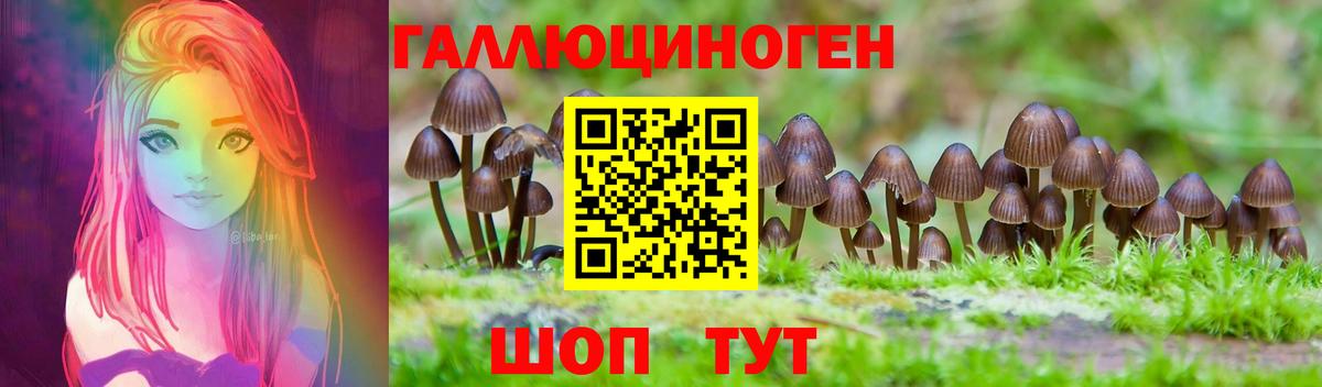 Псилоцибиновые грибы GOLDEN TEACHER  Вход с VPN  Кушва 